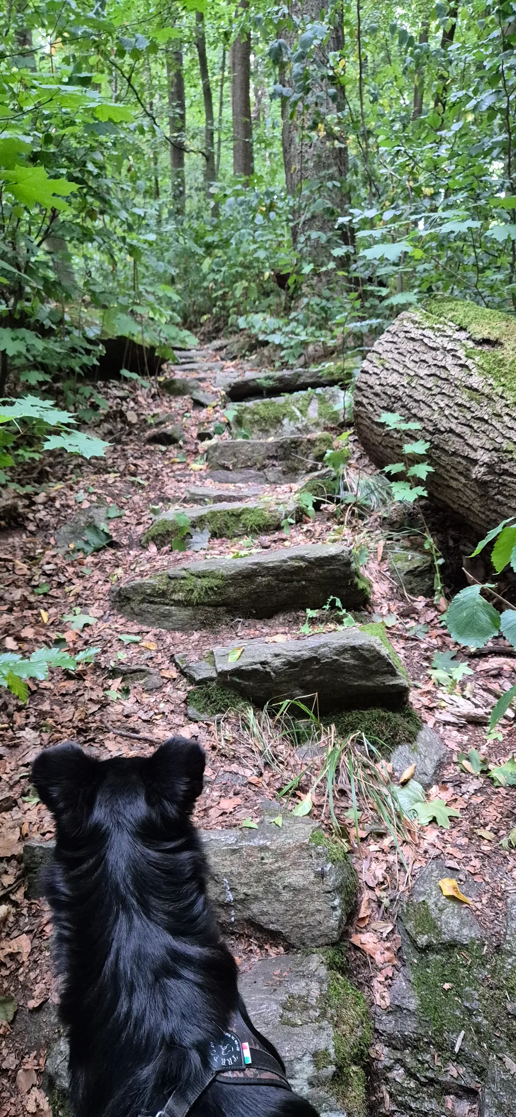 Bild von Elke für den Spot 2149