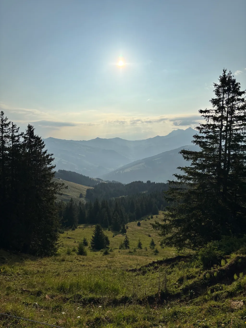 Bild von stefan für den Spot 73