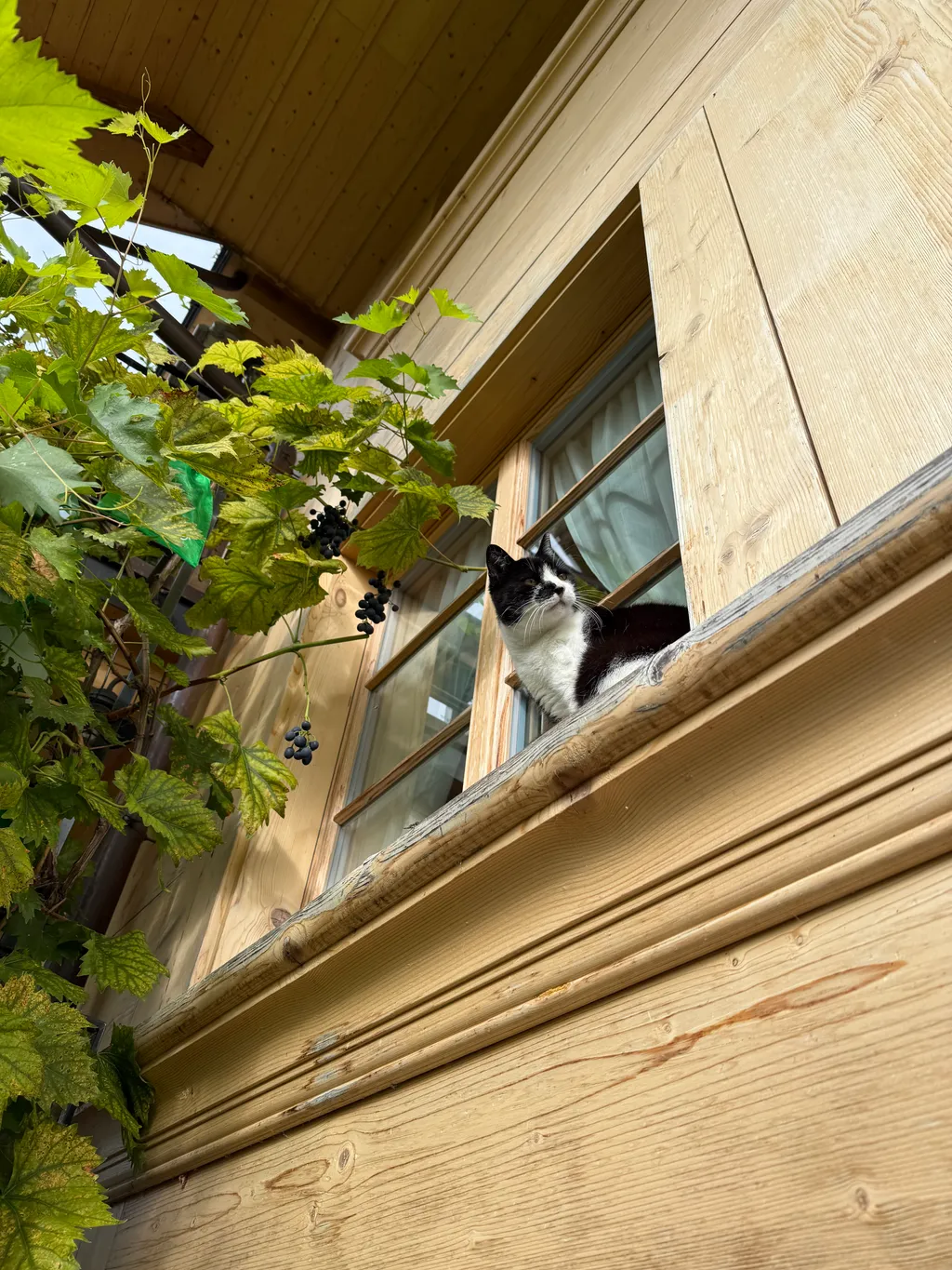 Bild von Andrea für den Spot 268