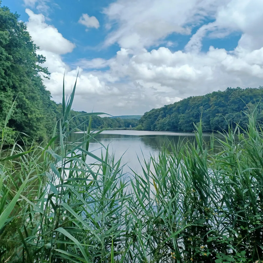 Profilbild von Sonja