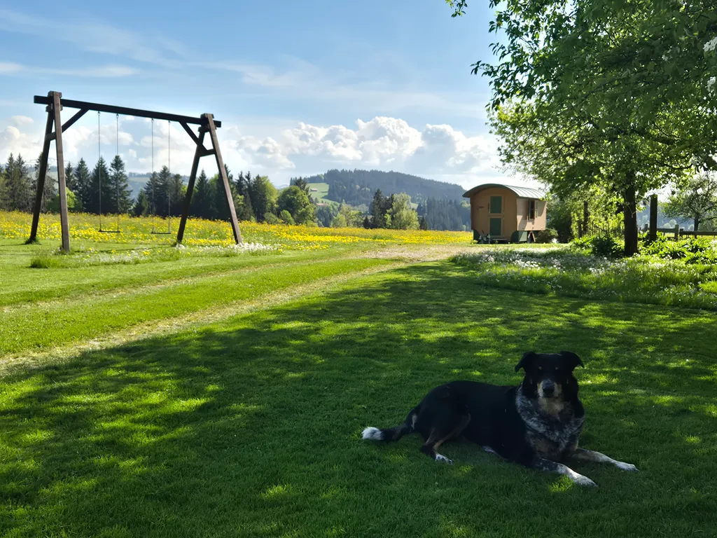 Blick aus dem Hofraum