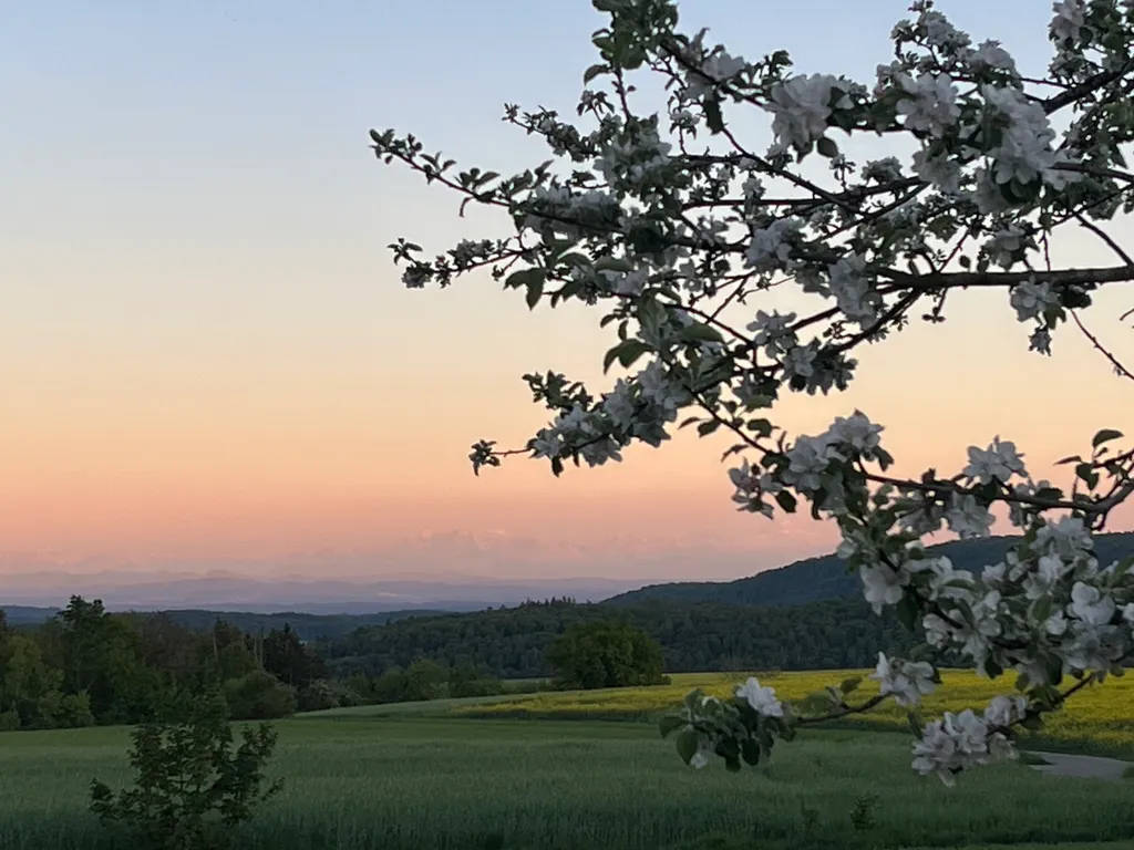 Bild von Regine für den Spot 3116