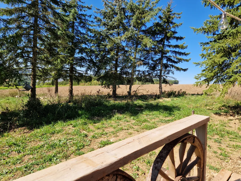Ausblick von der Terrasse