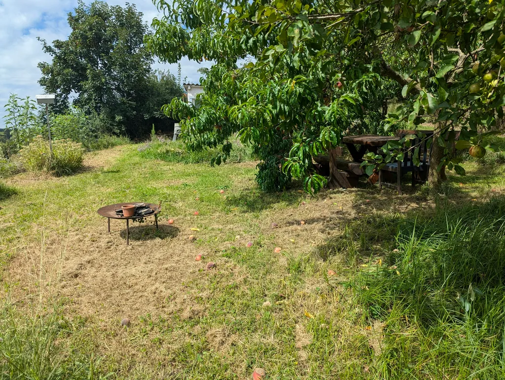 Zelten mit Aussicht