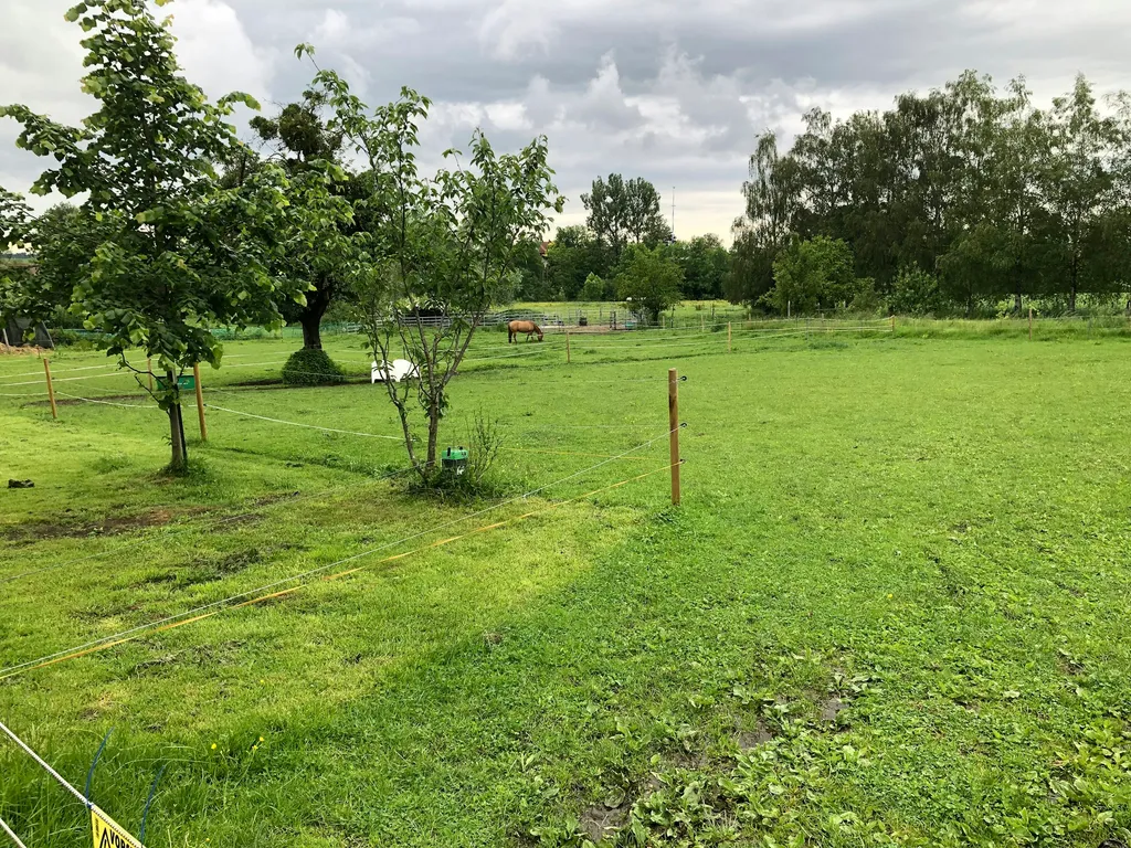 Schöner Platz, mit Pferden.