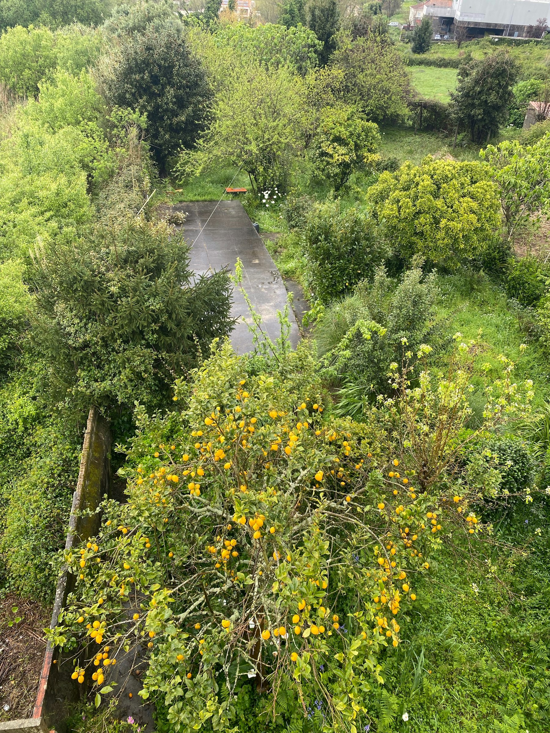 Camping im Obstgarten - Porto