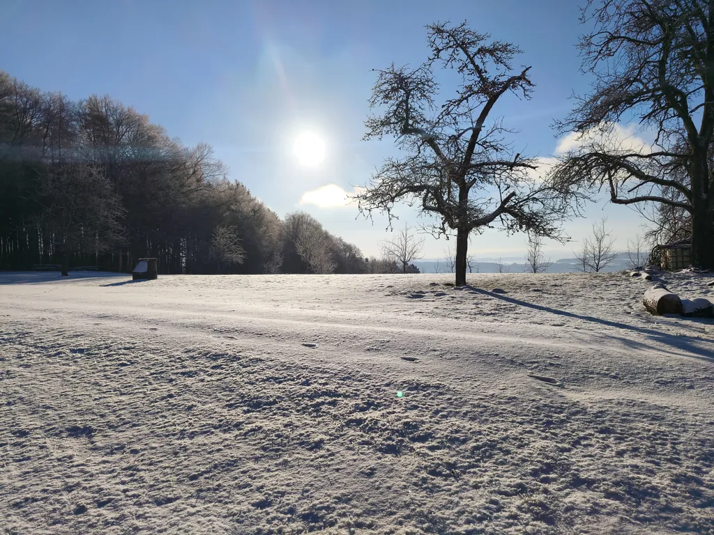Winter: Der Platz am Wald und am Wanderweg.
