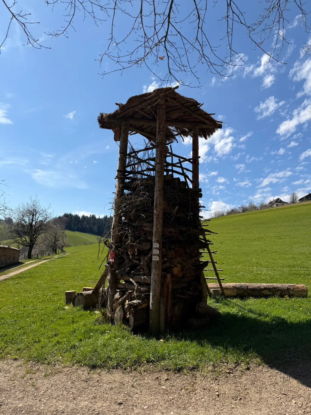 Bild von Christian für den Spot 323