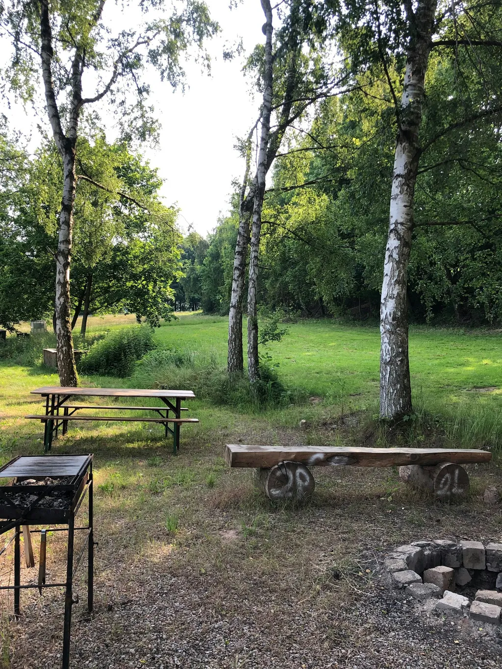 Schweben im Buchengrün