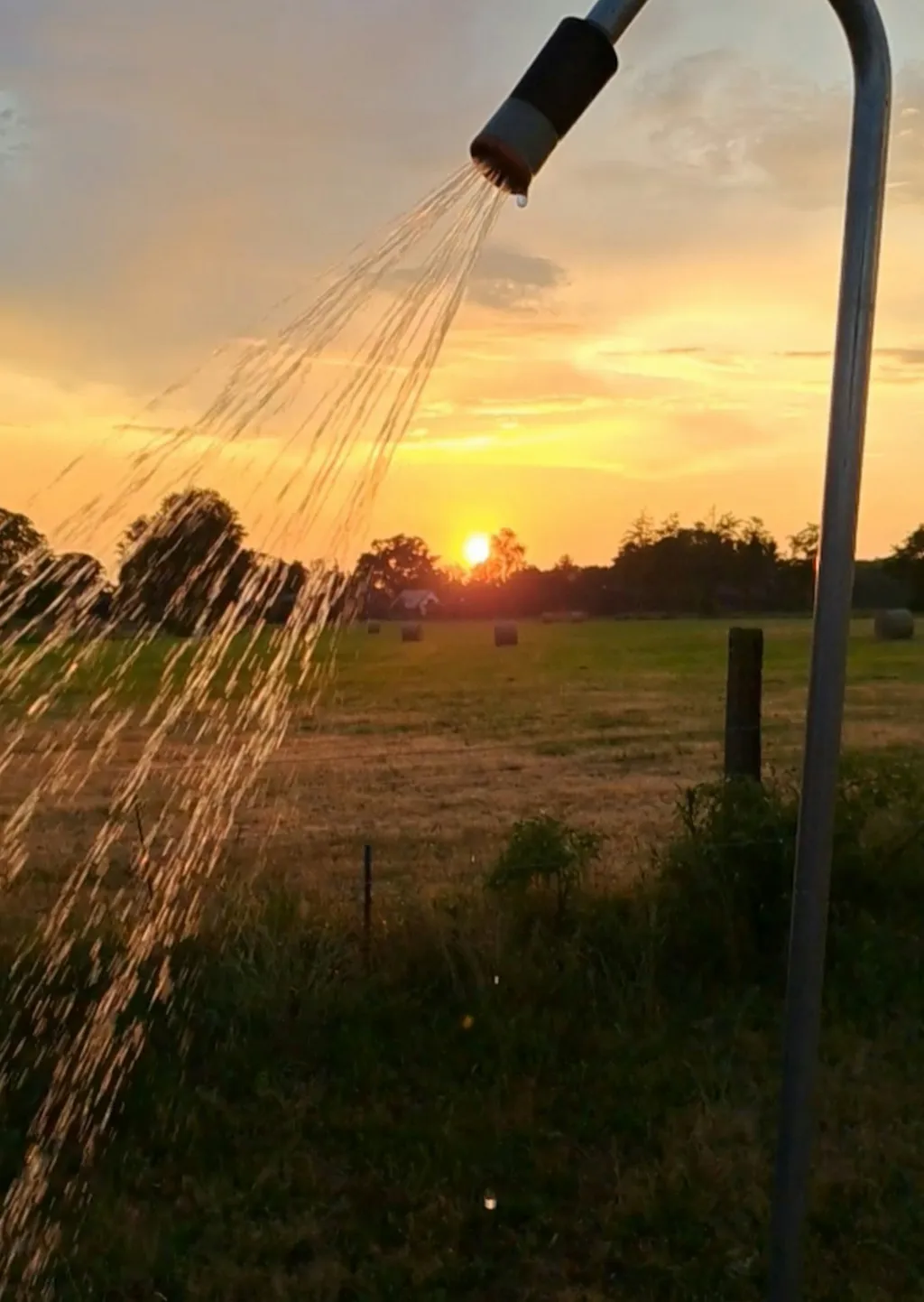 Zirkuswagen am Biosphärenreservat