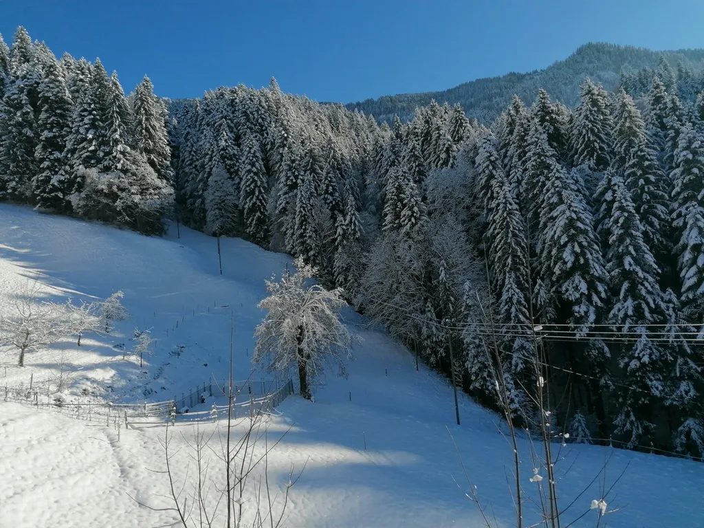 Natur pur, mit Angebot Ponyreiten