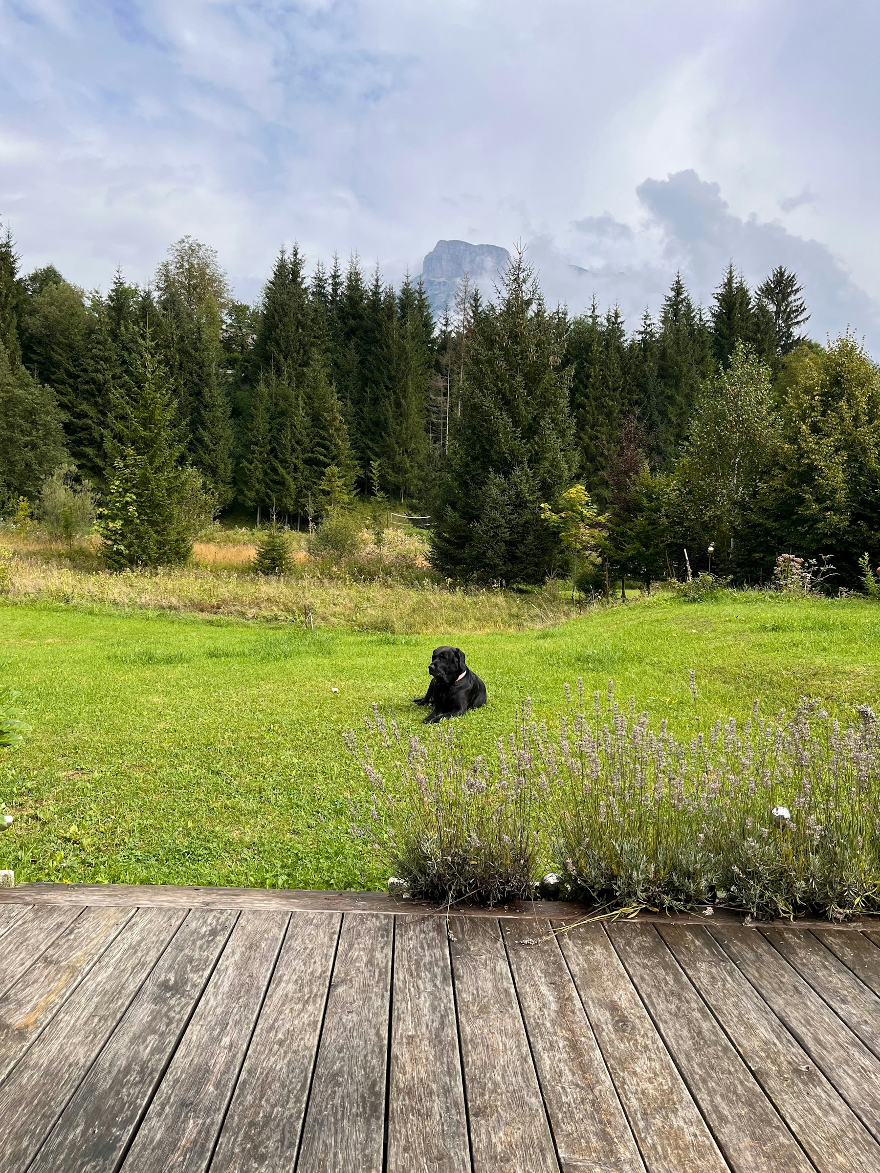 Ruhiger Platz mitten in der Natur