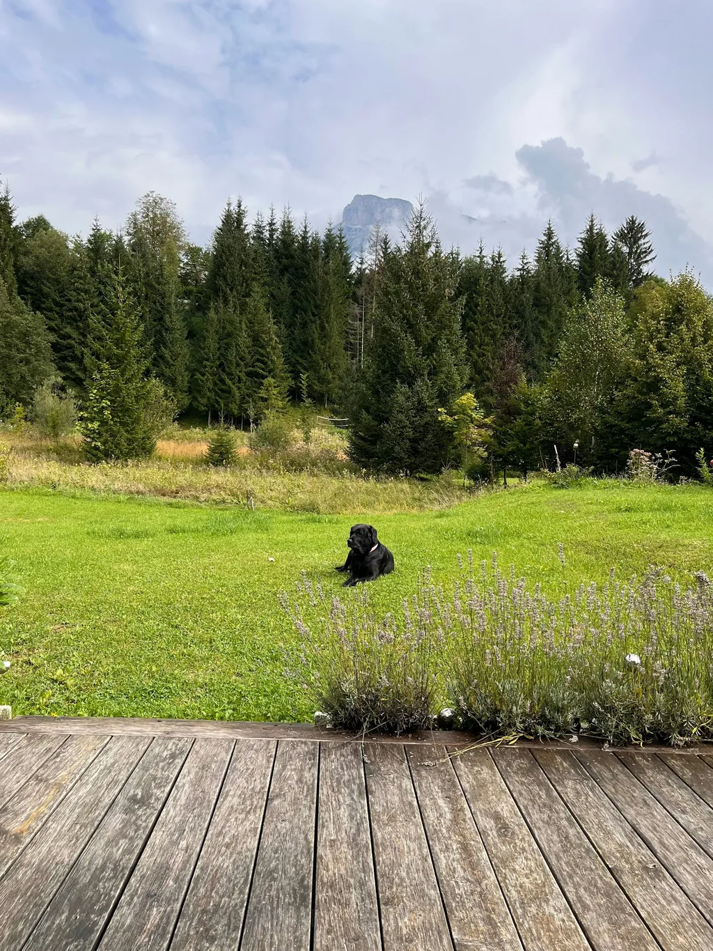 Ruhiger Platz mitten in der Natur
