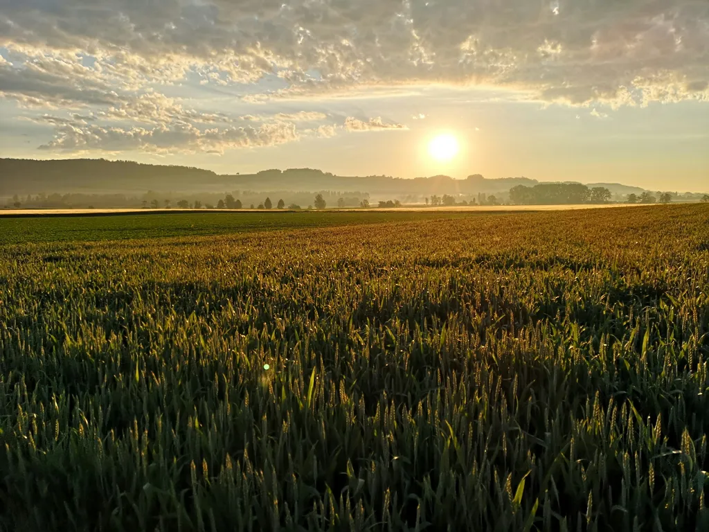 cebra’s Thurtal-Blick + + +