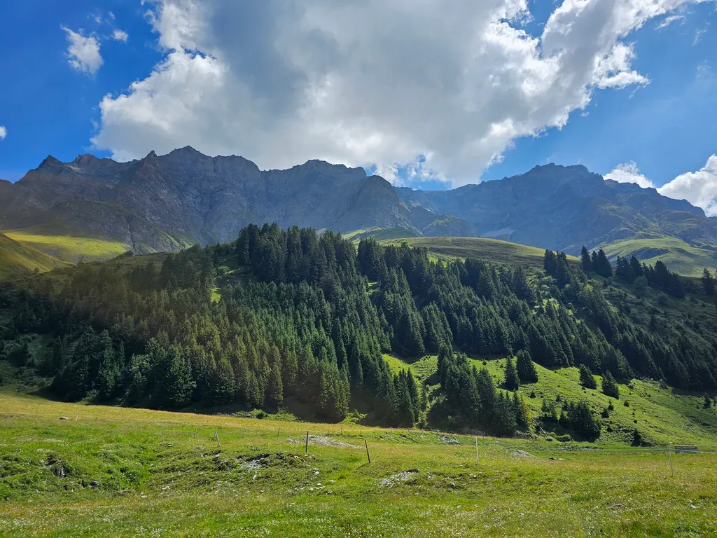 Bild von lorraine für den Spot 773