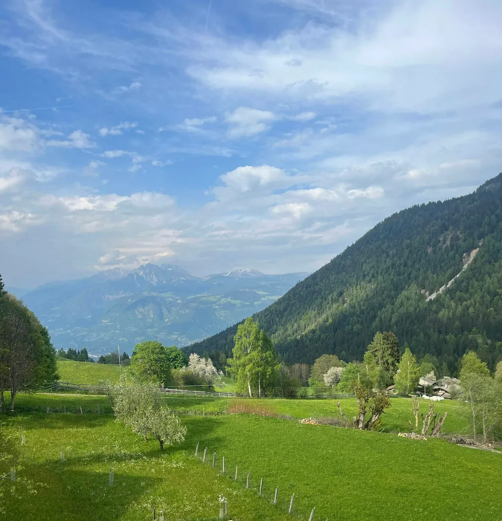 Artenreiche Blumenwiese in Südtirol