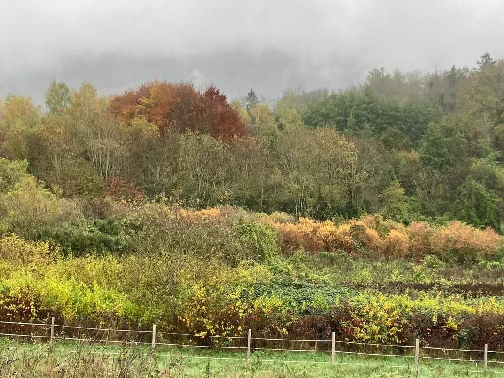 La pépinière vue depuis la route