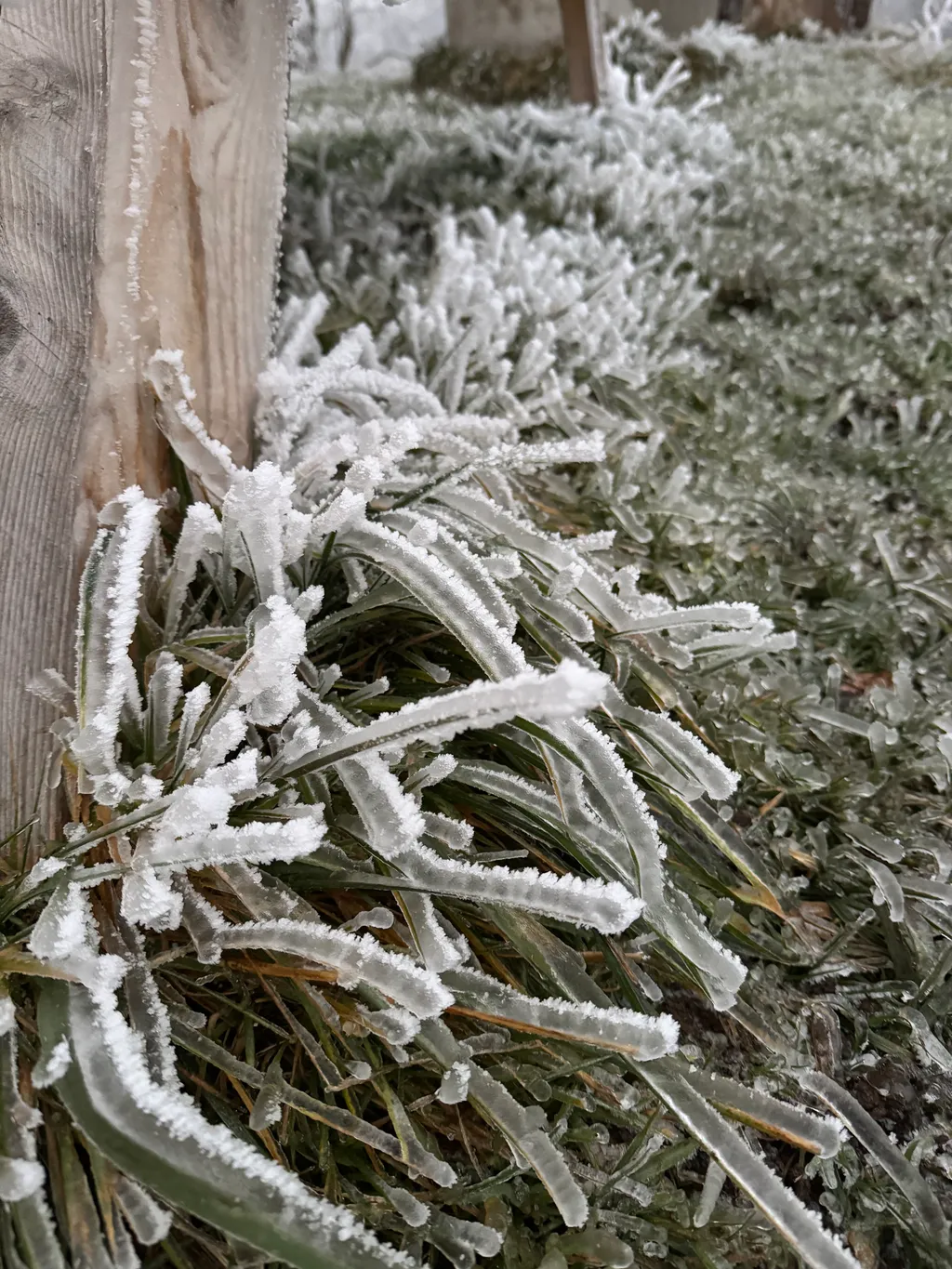 Bild von Karin für den Spot 377
