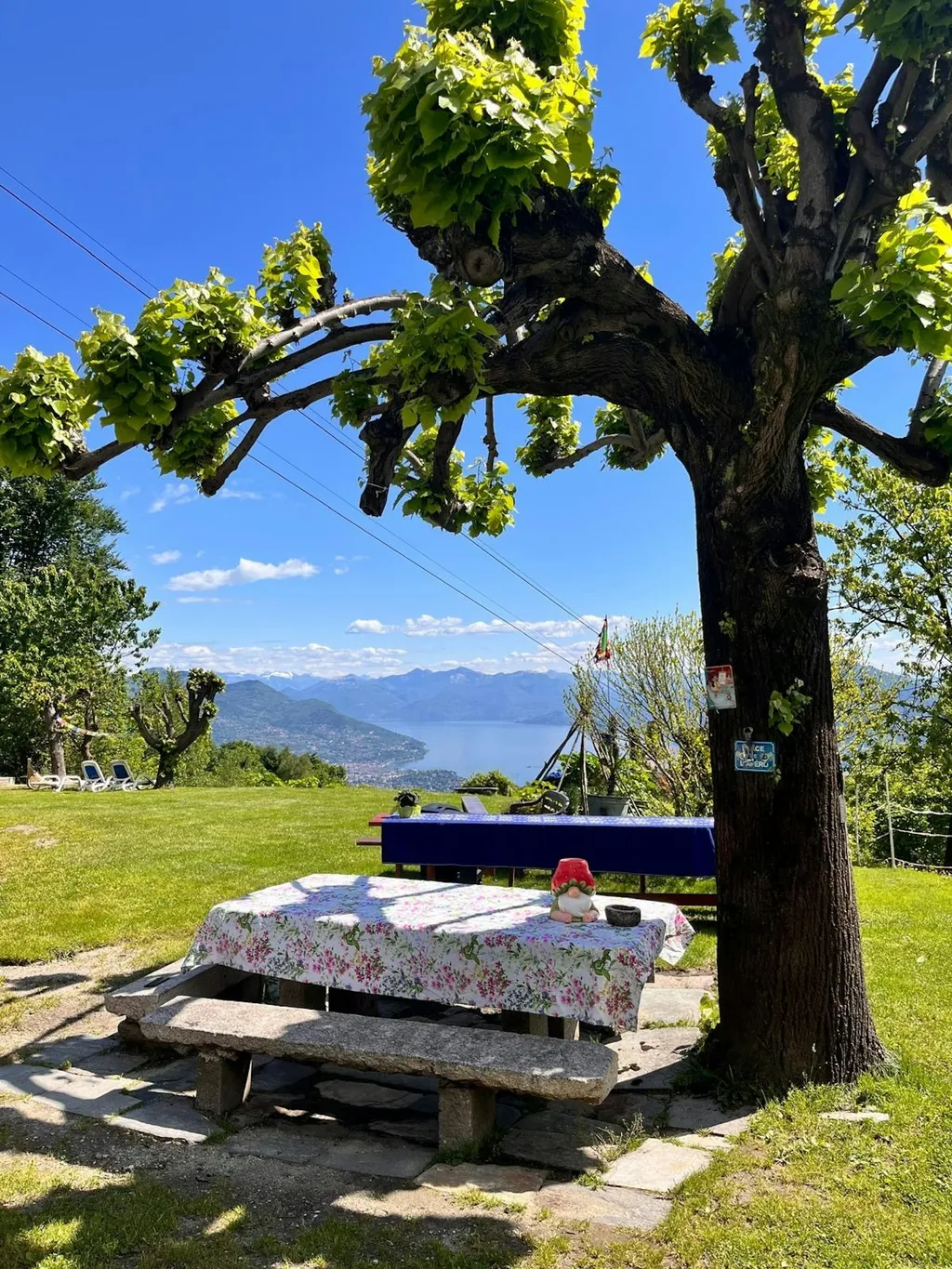 Painting lake view in the nature