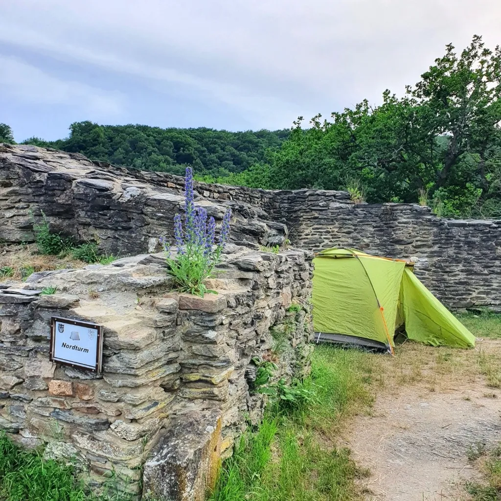 Profile picture of Nane