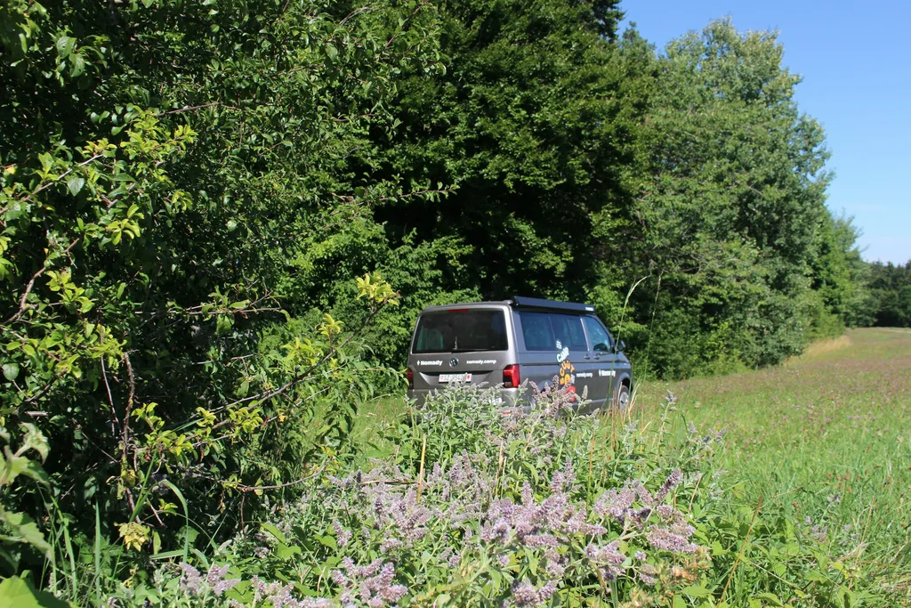 Klettgau Camp - im Eck