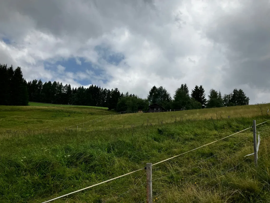 Sonniger Stellplatz im Zirbenland