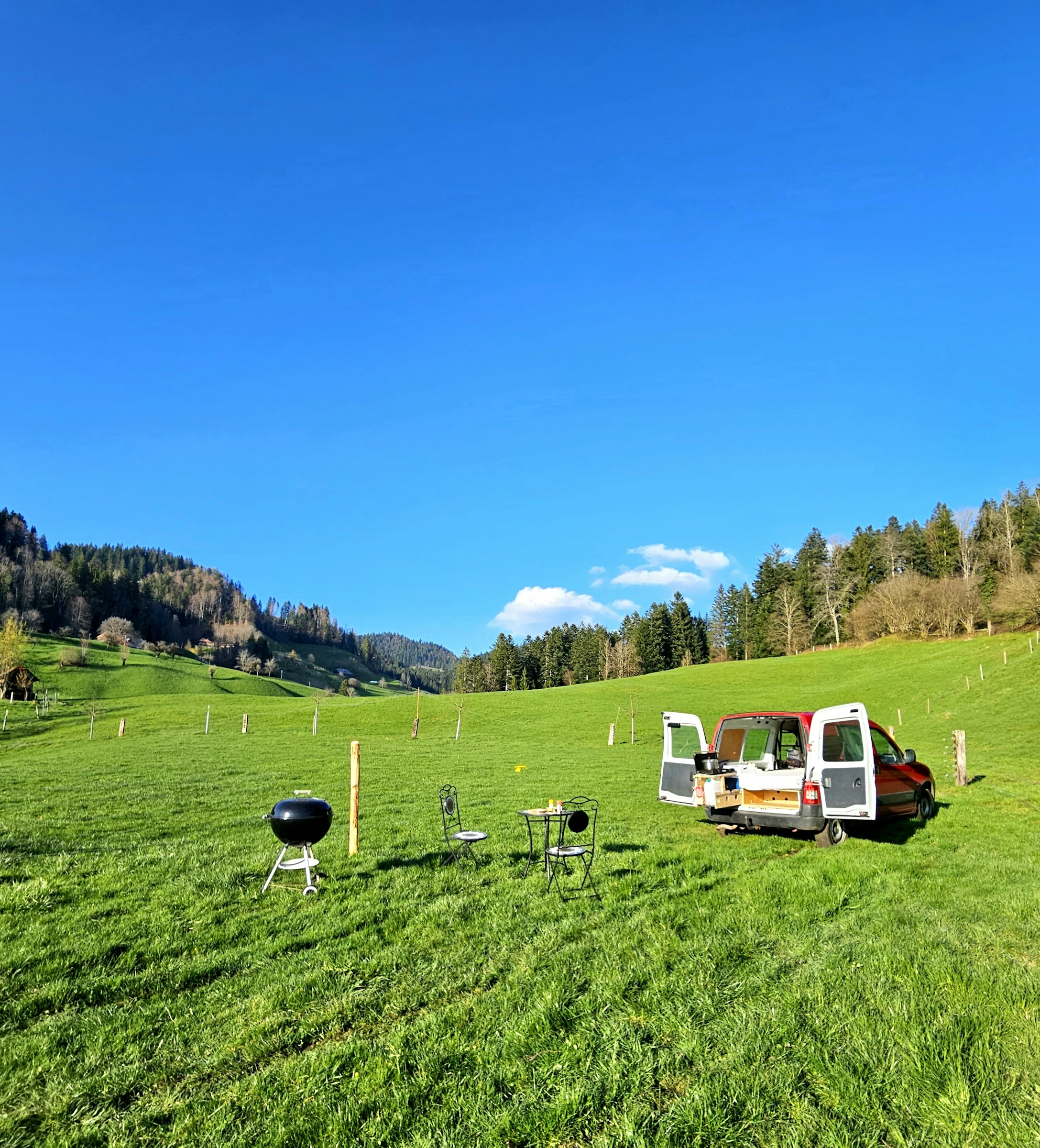 Hofparadiesli - Wiesenplatz bei der Tanne