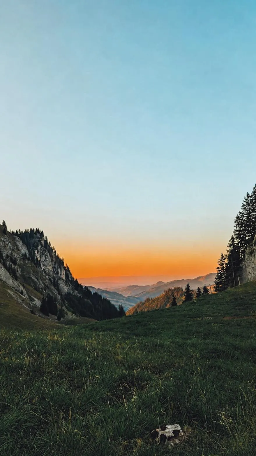 Bild von Zelda für den Spot 3536
