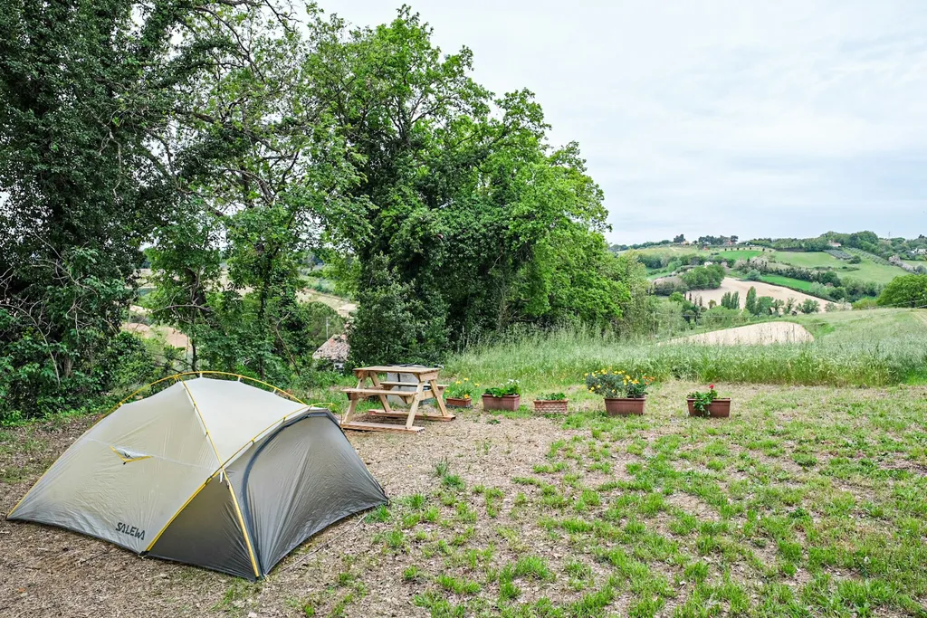 Camp gli Ulivi della Luca - Tenda