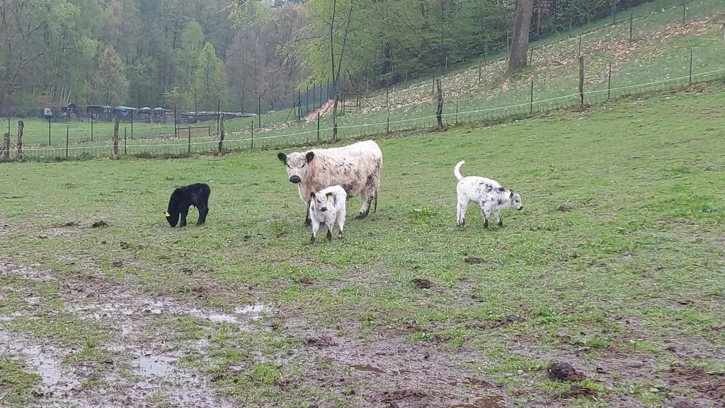 Ruhiger Stellplatz auf Hofstelle