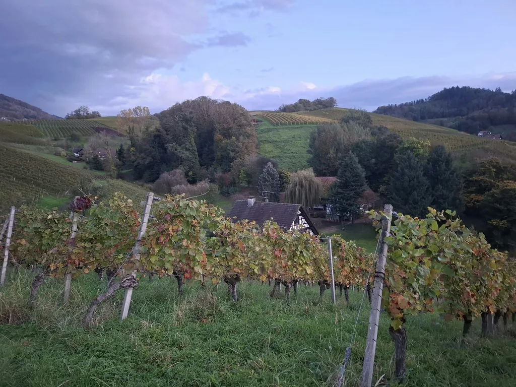 Idyllisch entschleunigen im Zelt đïž