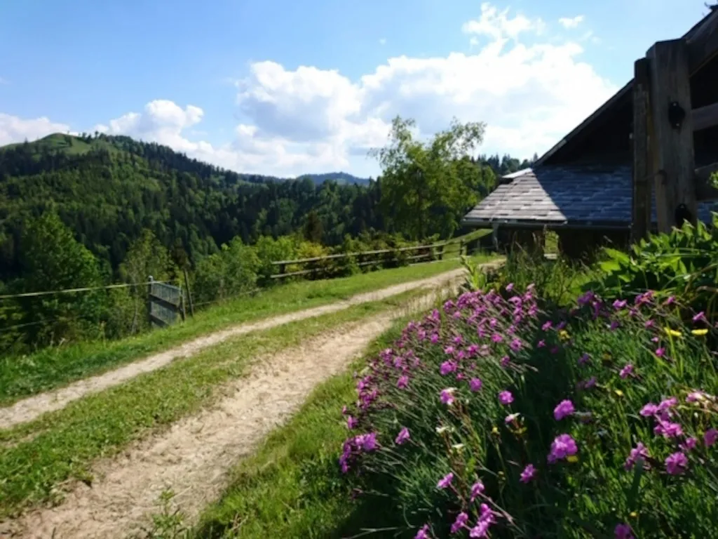 Alphütte Birbäumli