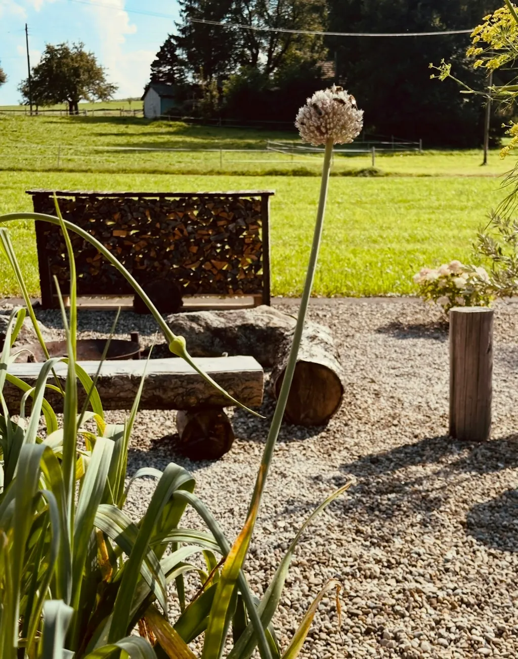 Um die Feuerstelle hat es Sitz Möglichkeiten.