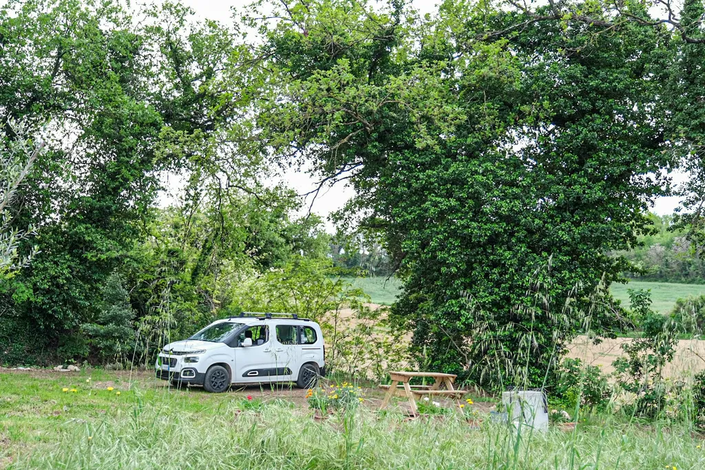 Camp gli Ulivi della Luca - Van