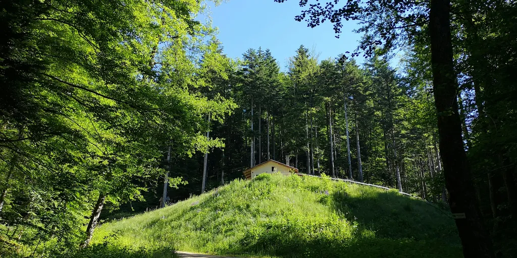 Waldbaden im Bad Krozinger Heilwald