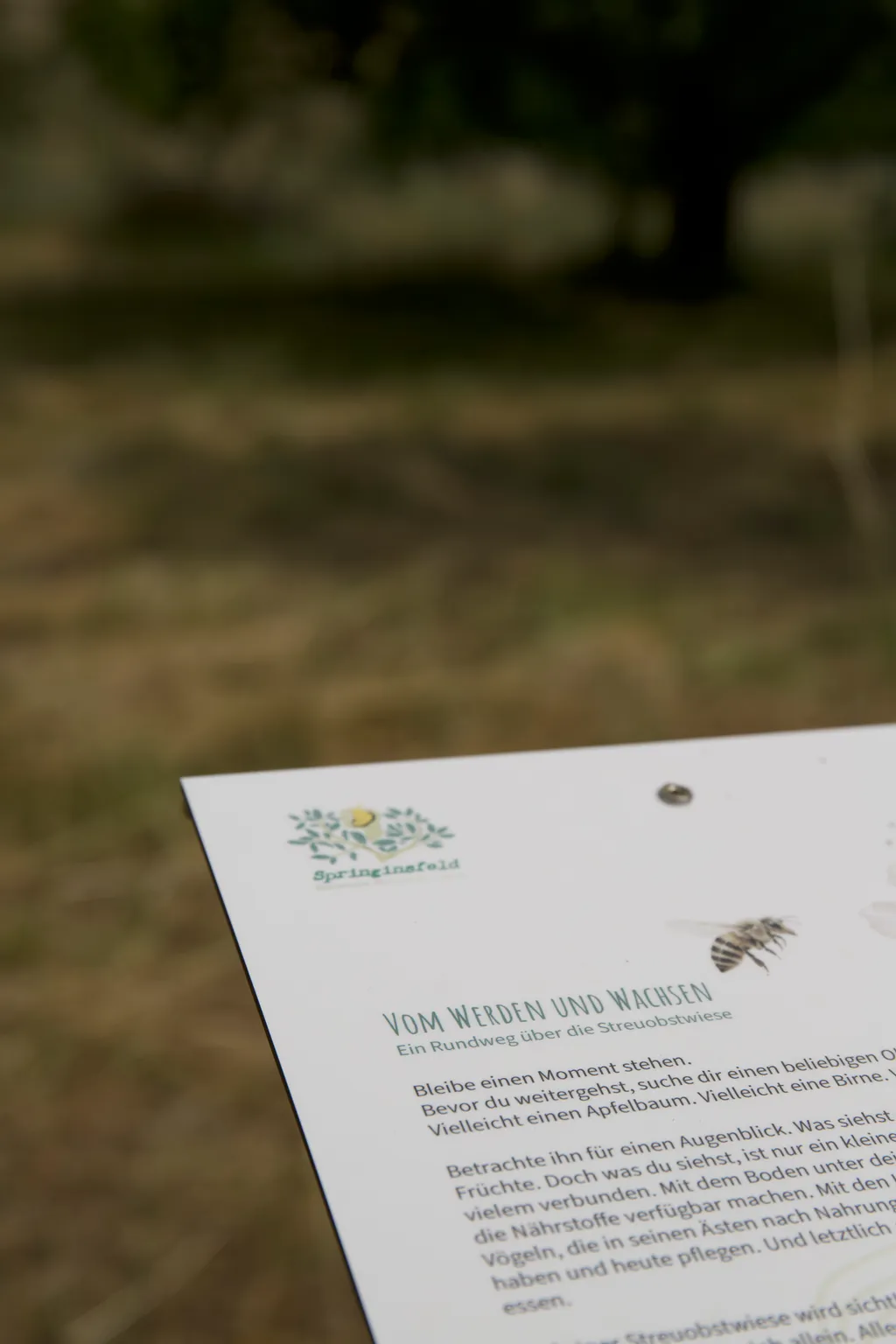 Kleiner Rundweg auf der Streuobstwiese
