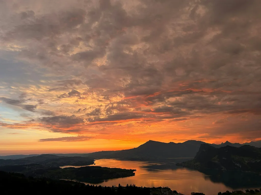 LABEA Camping (Vans only, RAUL)