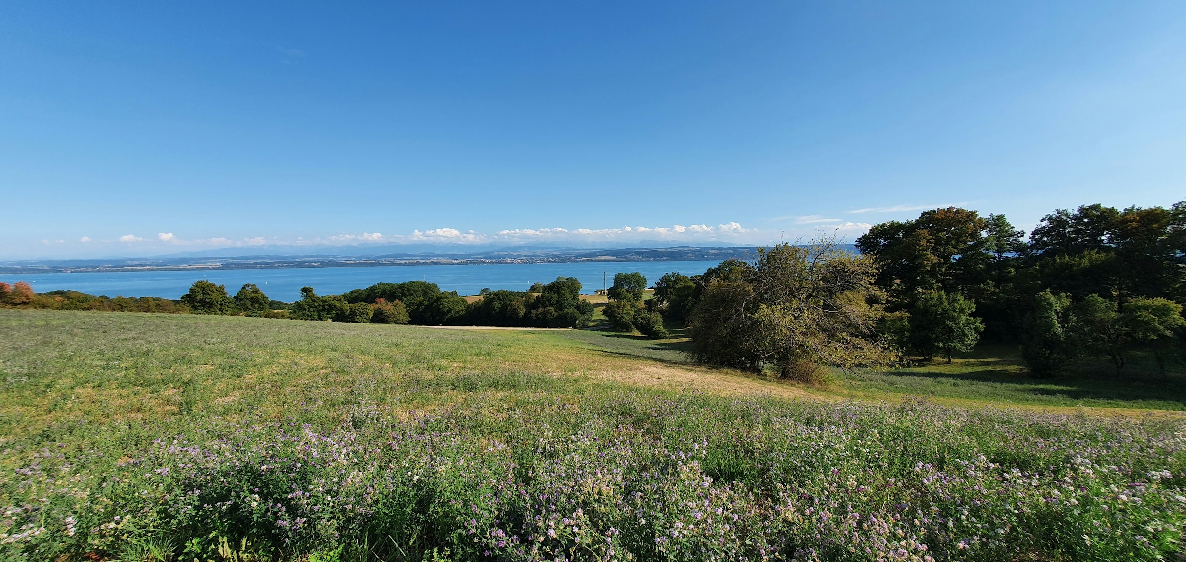 Bel emplacement entre lac&montagne