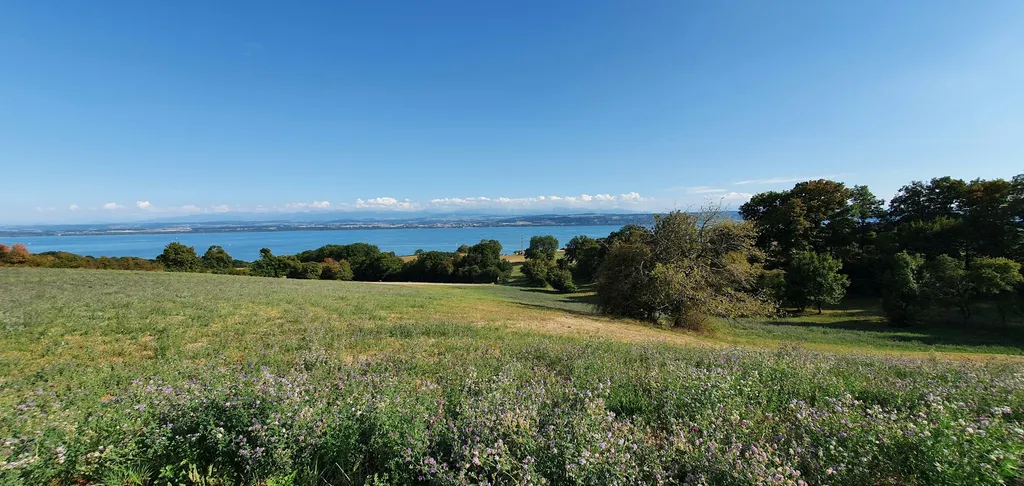 Bel emplacement entre lac&montagne