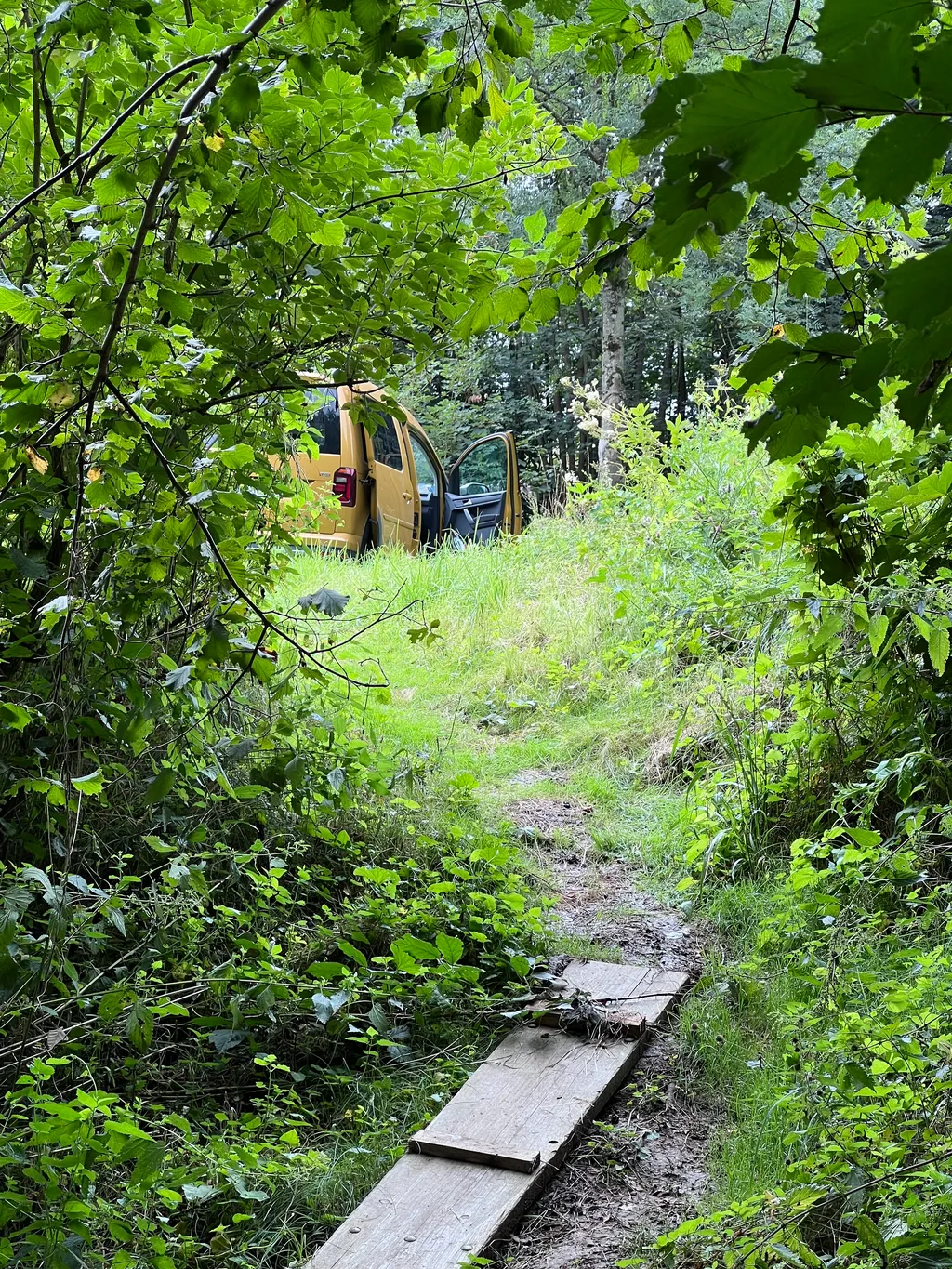 Bild von Philipp für den Spot 3634