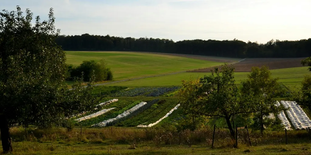 Mit Blick auf den grünen Daumen