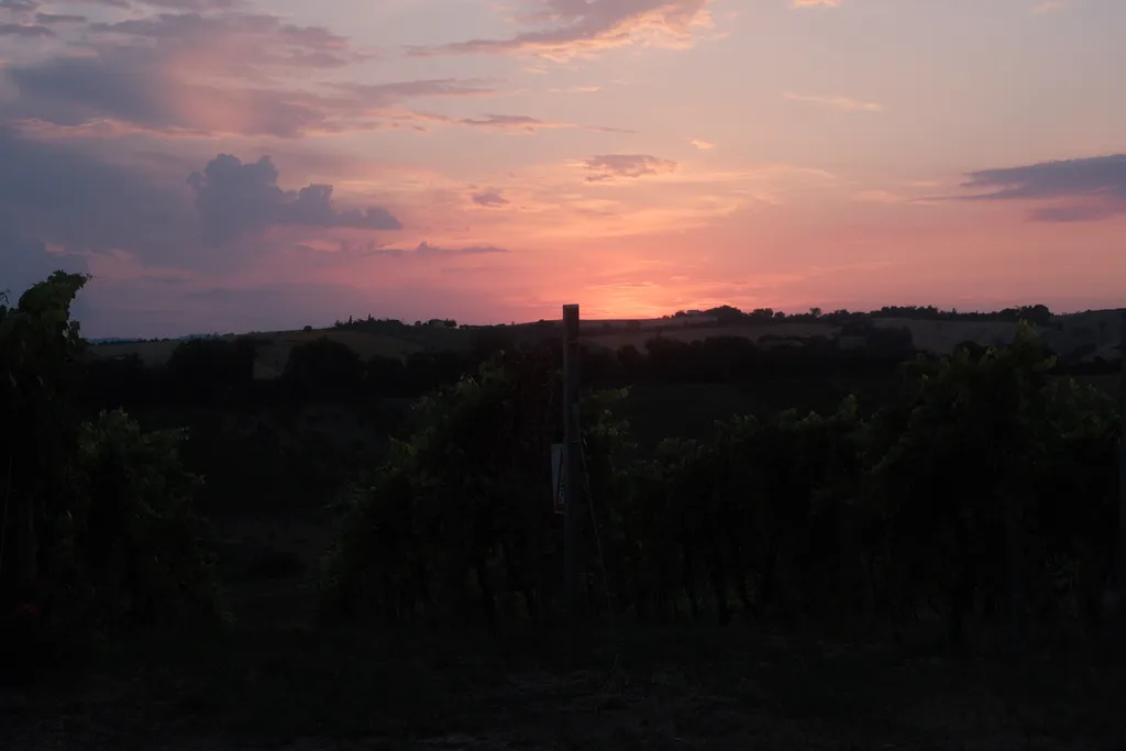 Bild von Josefa für den Spot 609