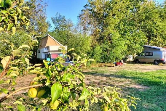 Parking on organic farmland