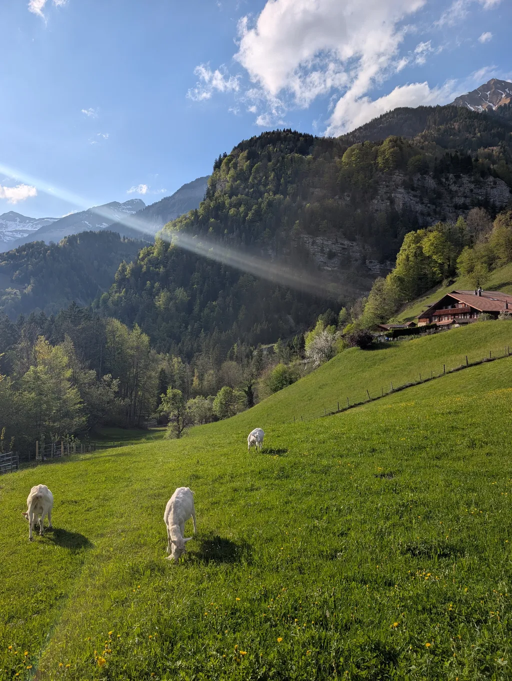 Bild von Iris für den Spot 648