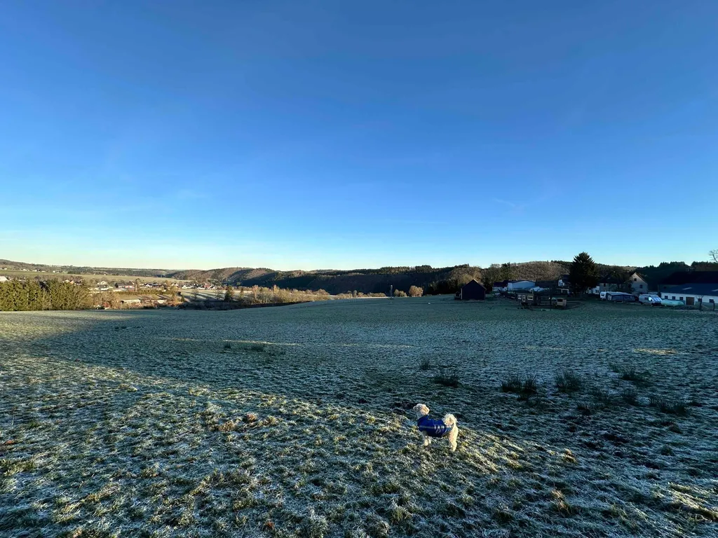 Waldbucht-Zauber inmitten der Eifel
