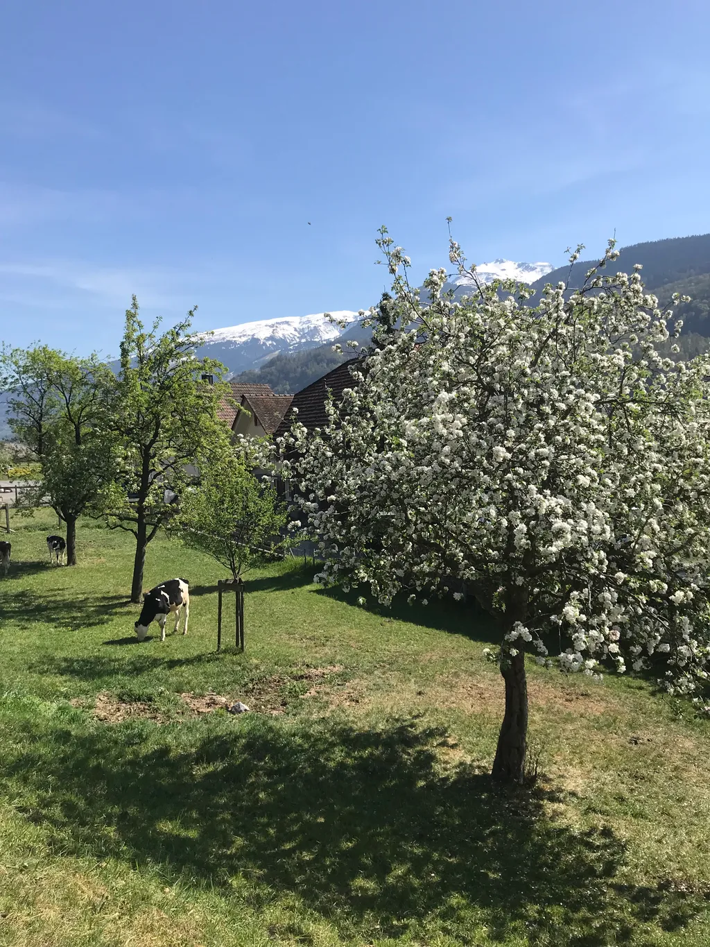 Einmal herrlich Schlafen auf dem Marchhof