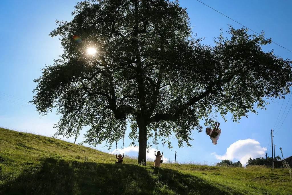 Bachrausch Summerweid