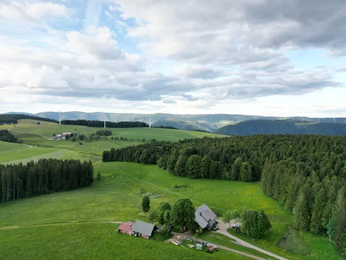 Stellplatz mit Sternenhimmel