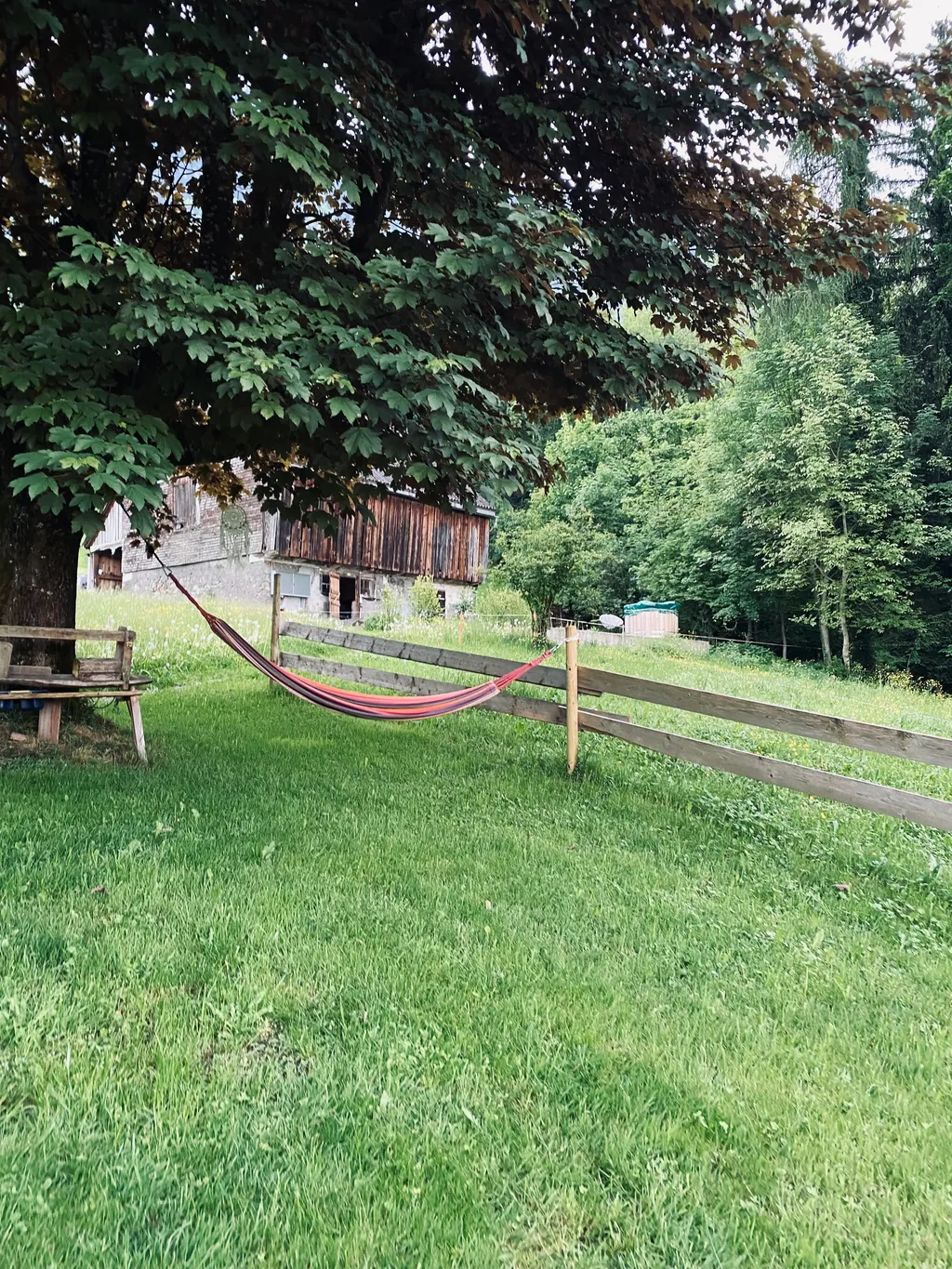 Blick vom Haus zur Scheune mit Stellplatz
