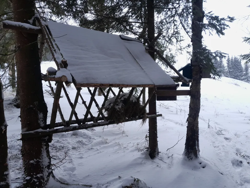 Wildfütterung
